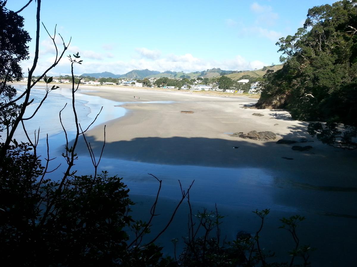 Bed and Breakfast Kotare Ridge Waihi Zewnętrze zdjęcie
